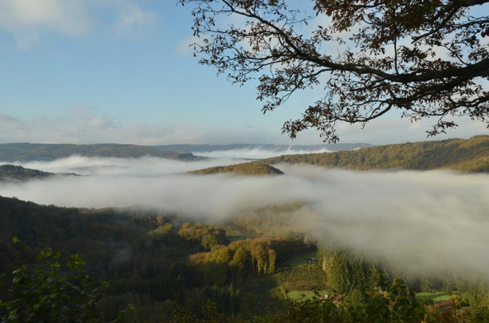 paysage Ardennes