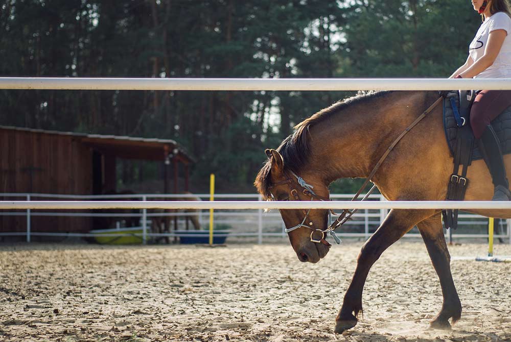 savoir s'arrêter à cheval