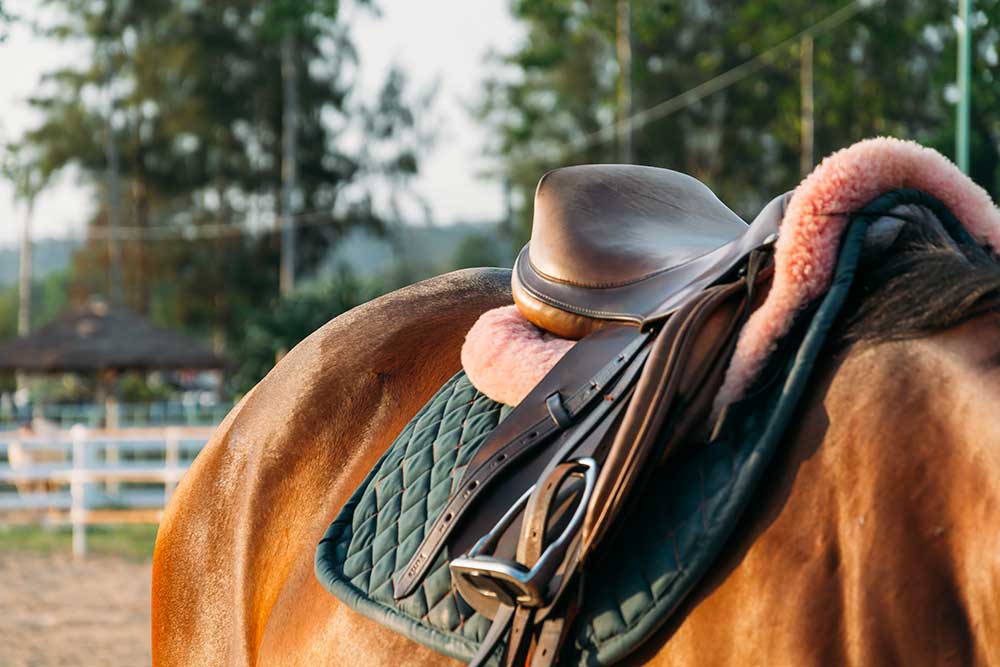 Tapis de selle pour cheval