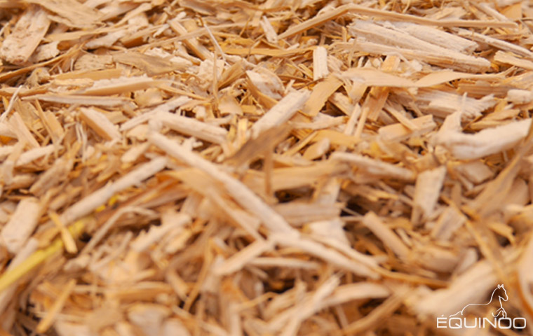 Litière en paillis de miscanthus pour les chevaux 