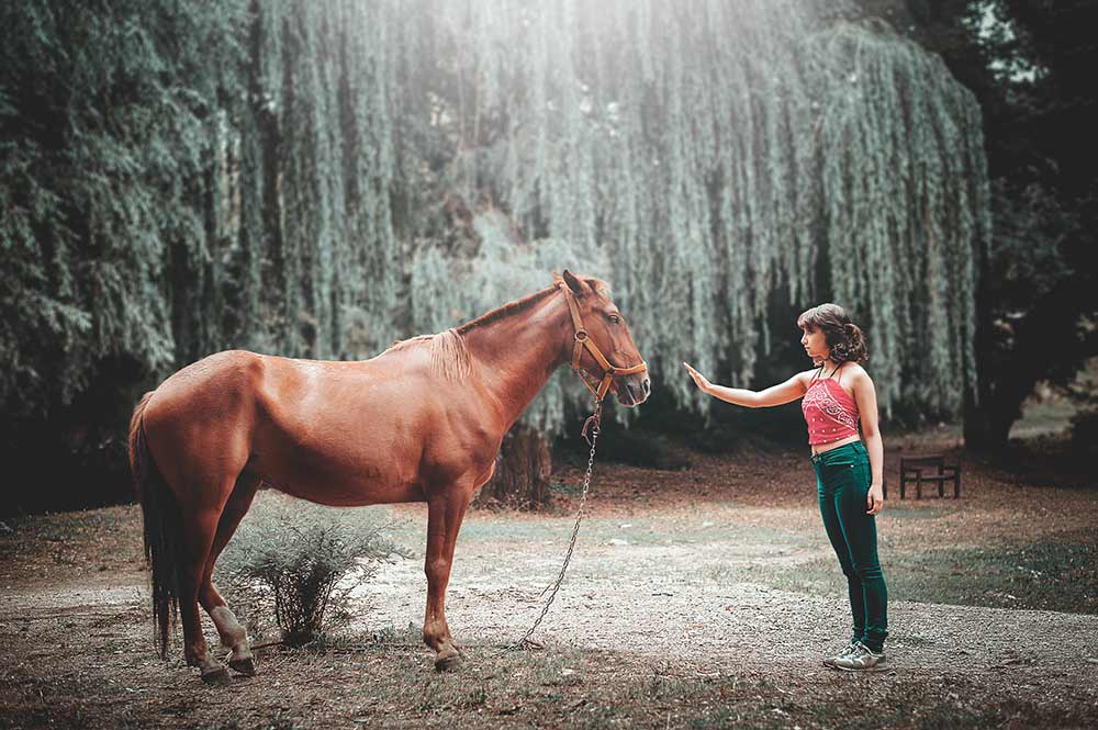 Respect entre la jeune fille et le cheval