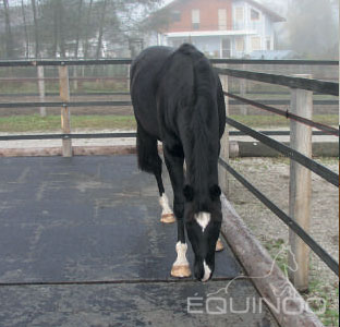 dalles caoutchouc pour chevaux paddock