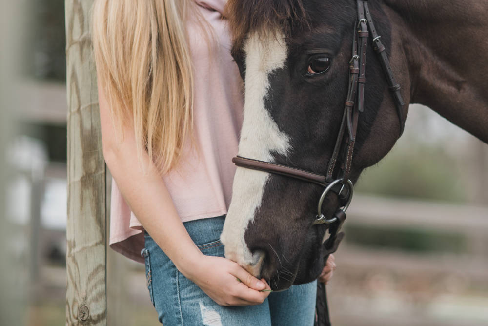 Une fille caresse la tête du cheval