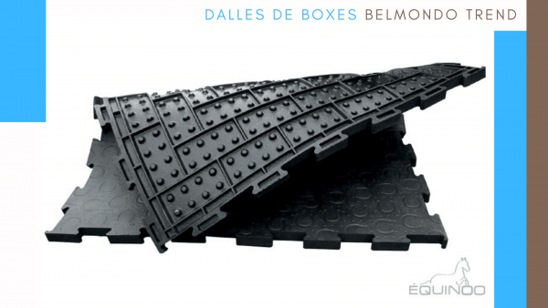 dalles belmondo trend newsletter février