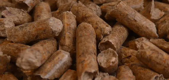 Litière granulés de bois