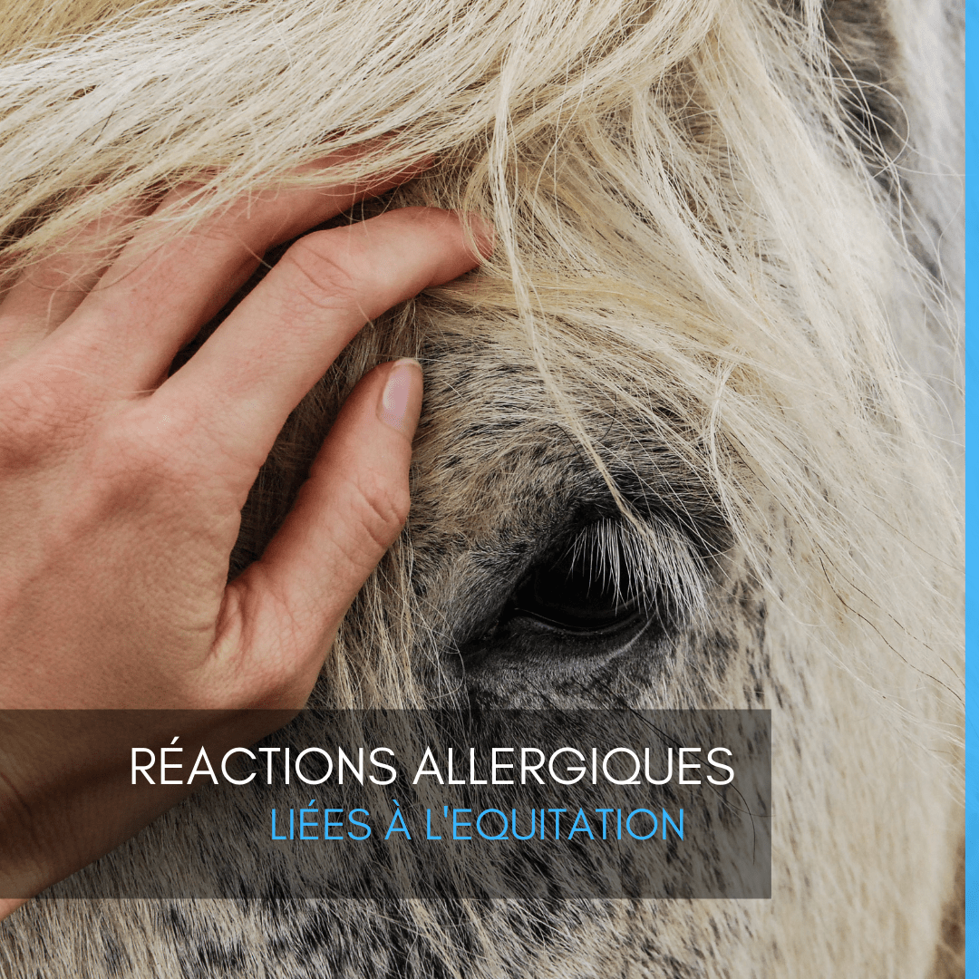 réactions, allergiques, équitation