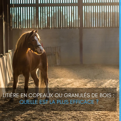 litière copeaux, litière copeaux de bois, copeaux de bois, litière granulés, granulés de bois, cheval, chevaux, efficace