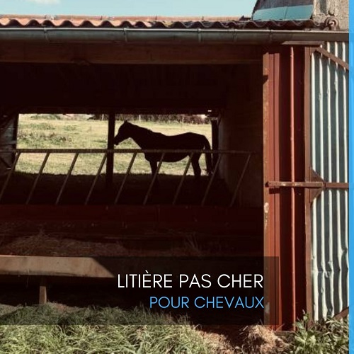 litière pas cher, litière pas cher chevaux, litière pas chère, EQUINOO