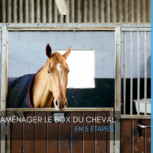 aménagement box cheval, box cheval, bien-être cheval, litière pour chevaux, dalles de sol, dalles de box, box cheval, EQUINOO