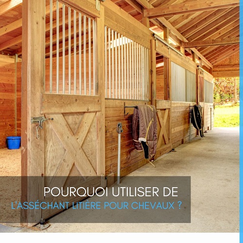 EQUINOO, asséchant litière, litière pour chevaux, asséchant litière chevaux, ECOO DRY