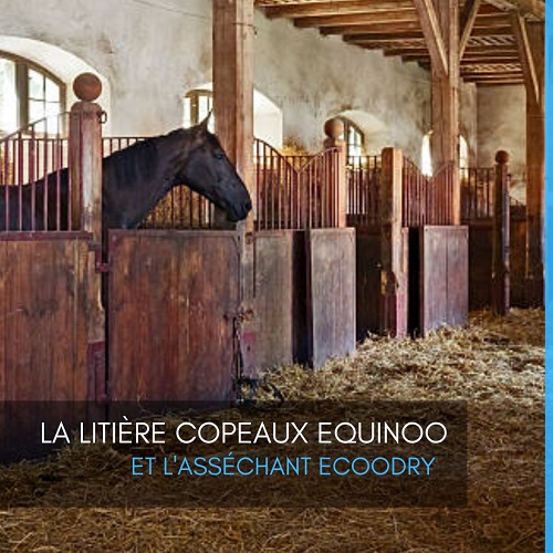 EQUINOO, ECOODRY, litière copeaux litière copeaux pour chevaux, litière en copeaux de bois, asséchant pour litière, asséchant litière, bien-être chevaux