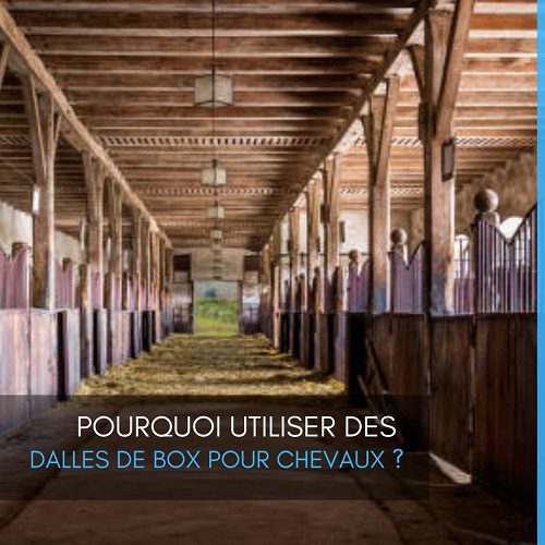 dalles de boxes chevaux, dalles de boxes, EQUINOO, bien-être chevaux, litière pour chevaux, dalles de box cheval