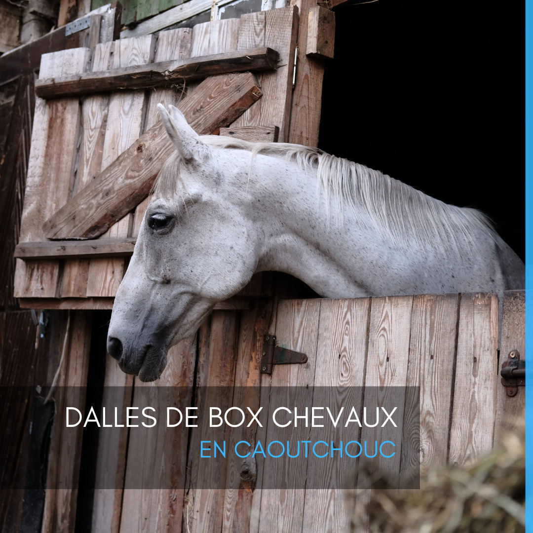 Dalles pour box de cheval en caoutchouc