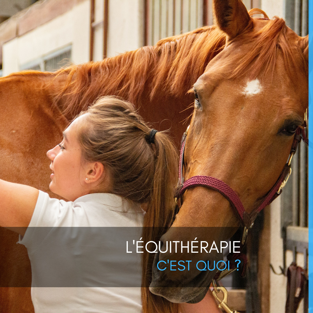 L'équithérapie c'est quoi ?