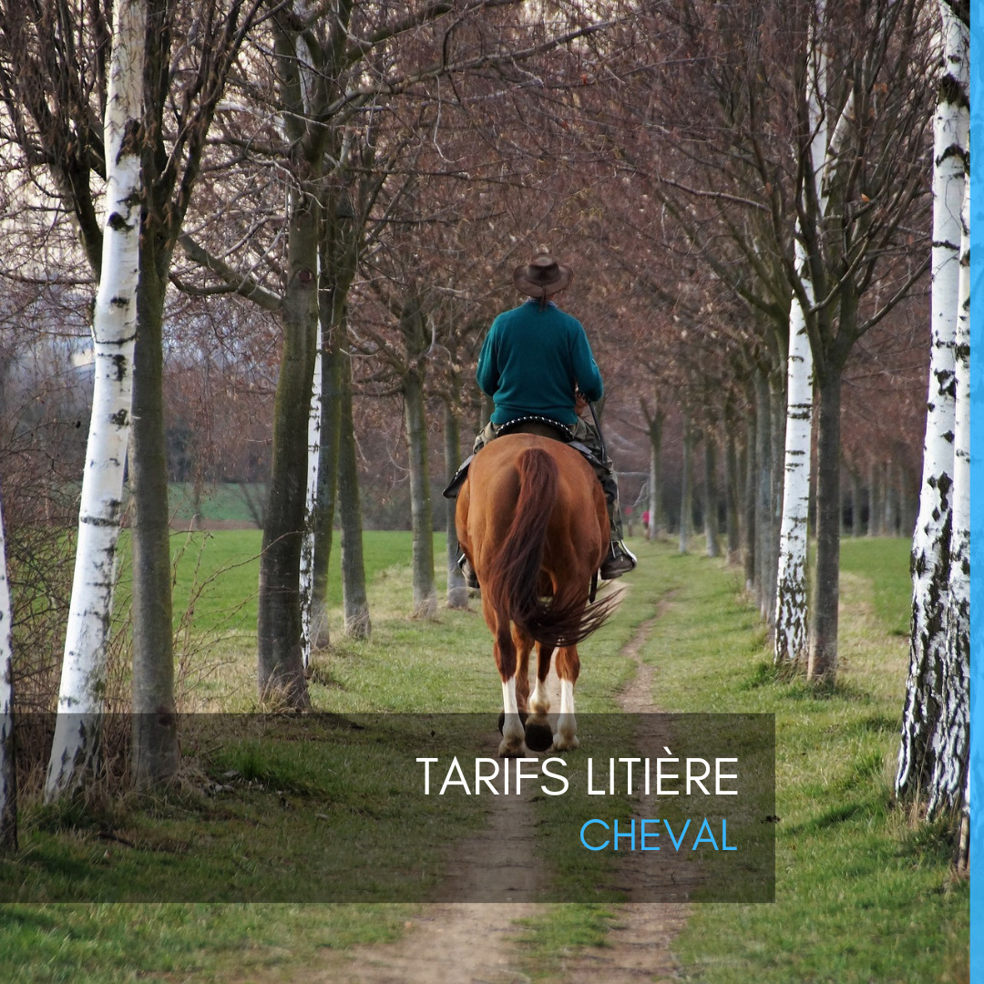 Tarifs litière cheval Equinoo