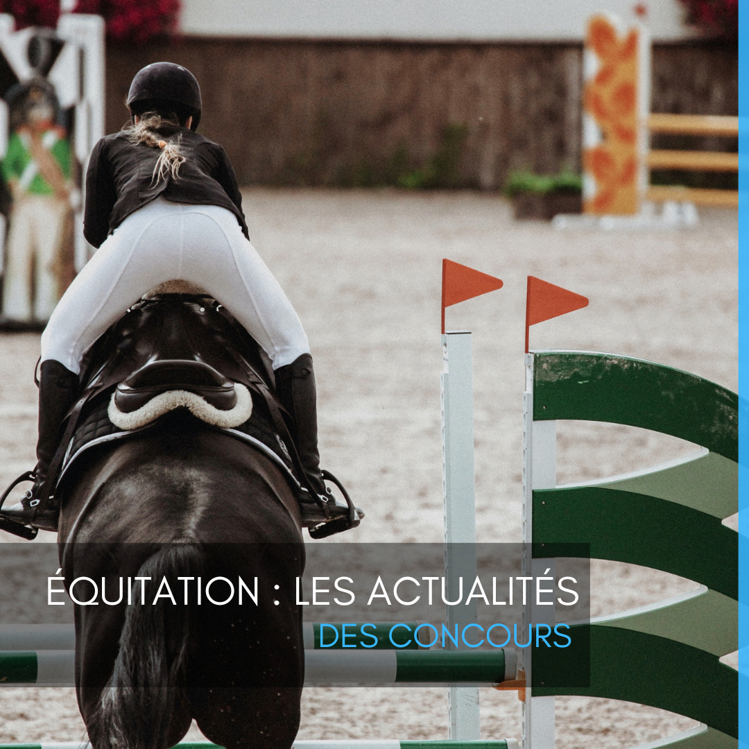 Équitation : actualités des concours