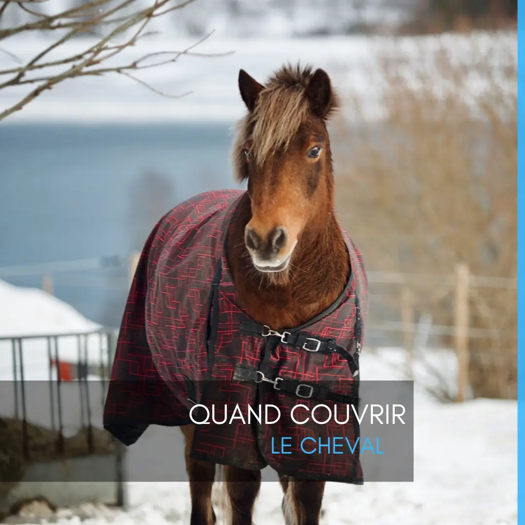 Quand couvrir le cheval ?