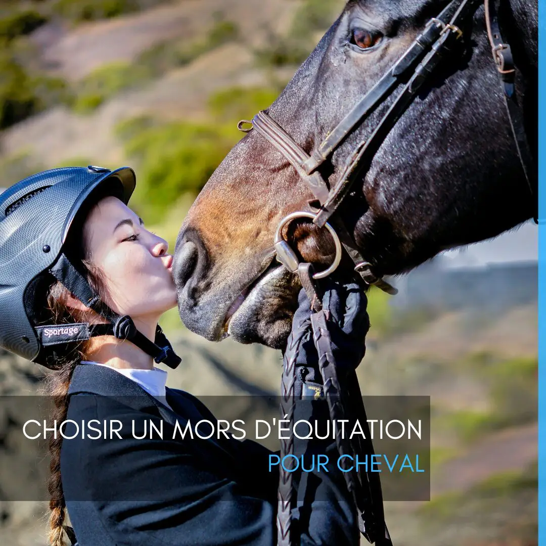 Choisir un mors d'équitation pour cheval