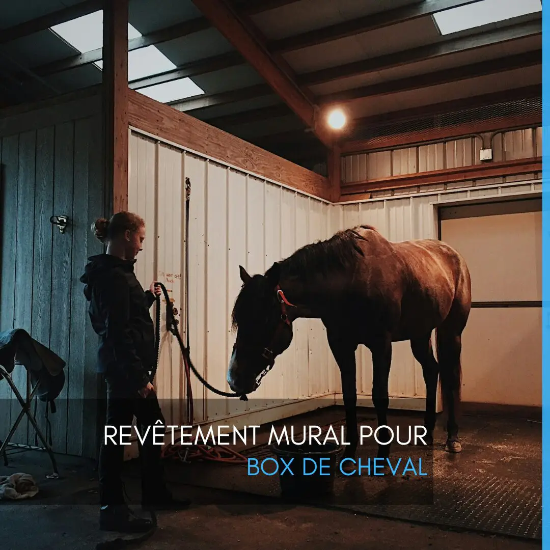 Revêtement mural pour box de cheval