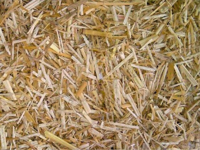 Litière de miscanthus