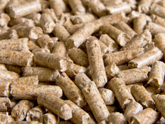 Granulés de bois : Quelle litière choisir pour limiter l'odeur de la litière des chevaux ?