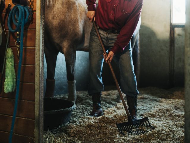 Comment entretenir un box pour limiter l’odeur de la litière des chevaux ?